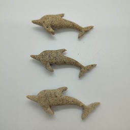 Sand dolphin magnet