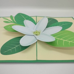 CP 3D Tiare Tahiti,  ARTGRICULTURE