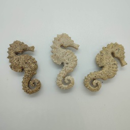 Sand seahorse magnet